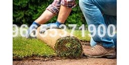 تنسيق حدائق احترافي: تنسيق حدائق في مدينة جدة | ديار جدة
